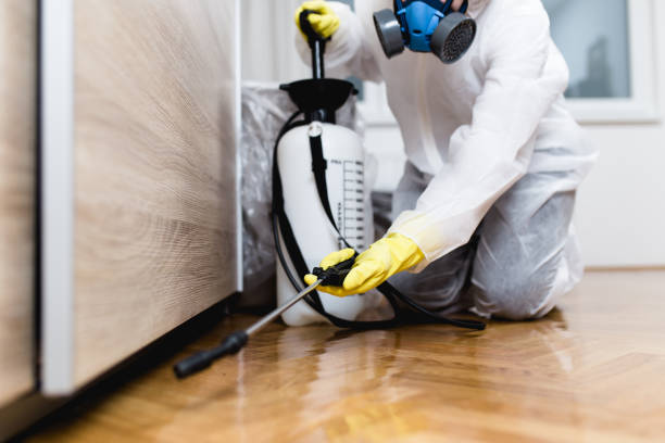 Best Cockroach Control Services  in Medford Lakes, NJ