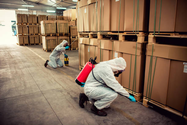 Best Pest Control Near Me  in Medford Lakes, NJ