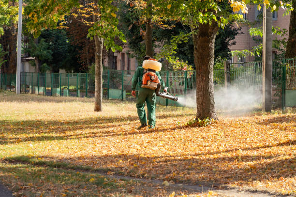 Best Termite Control Services  in Medford Lakes, NJ