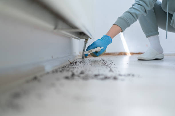 Best Pest Removal Services  in Medford Lakes, NJ